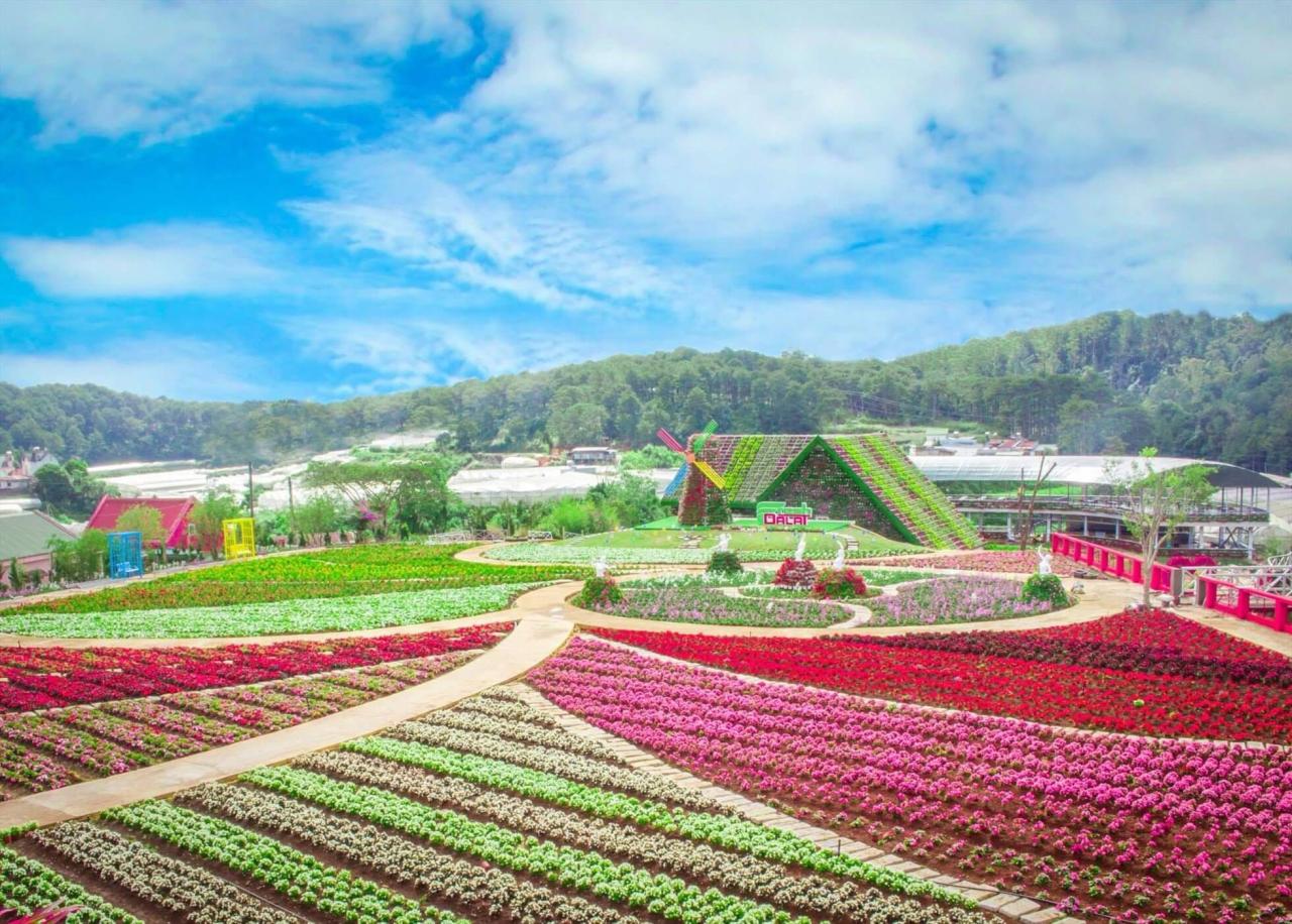 Travellers' Travel Guide On Tet Holiday