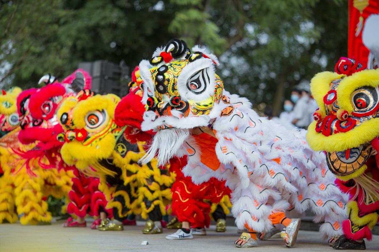 Travellers' Travel Guide On Tet Holiday