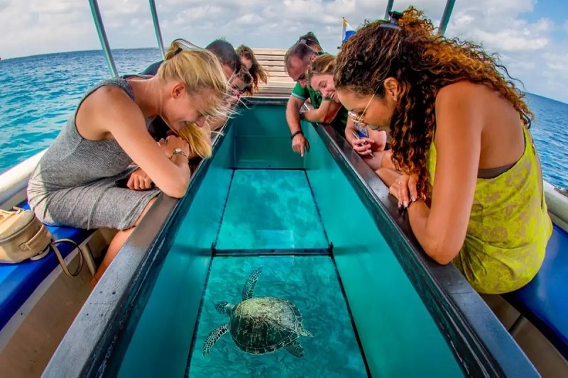 Vinh Hy Bay Day Tour From Mui Ne: Snorkeling And Fishing Tour